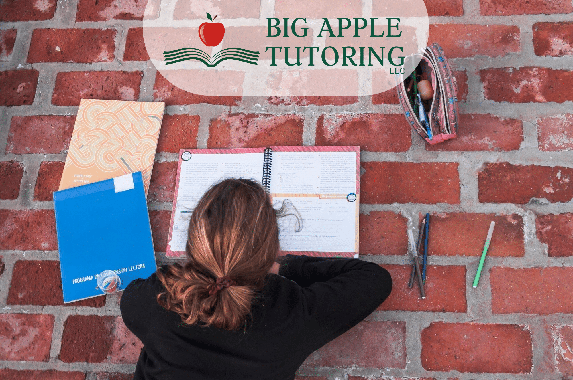 homework help nyc