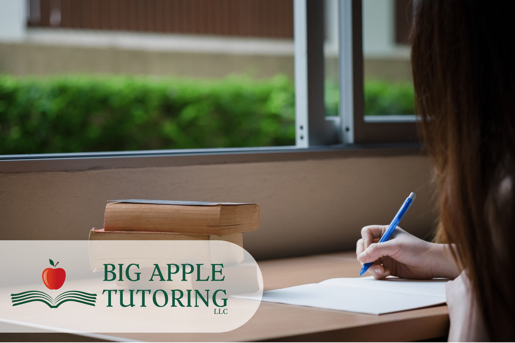 homework help nyc